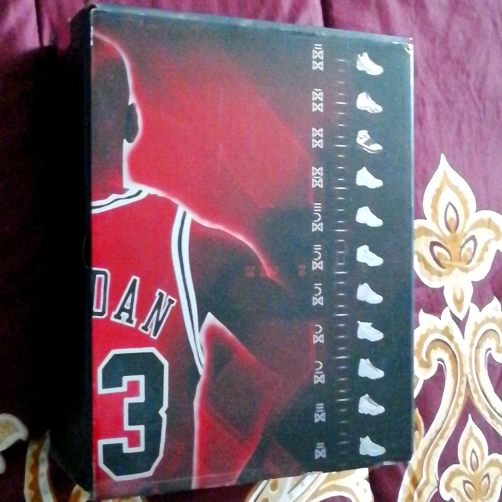 Air jordan 10 SHADOW